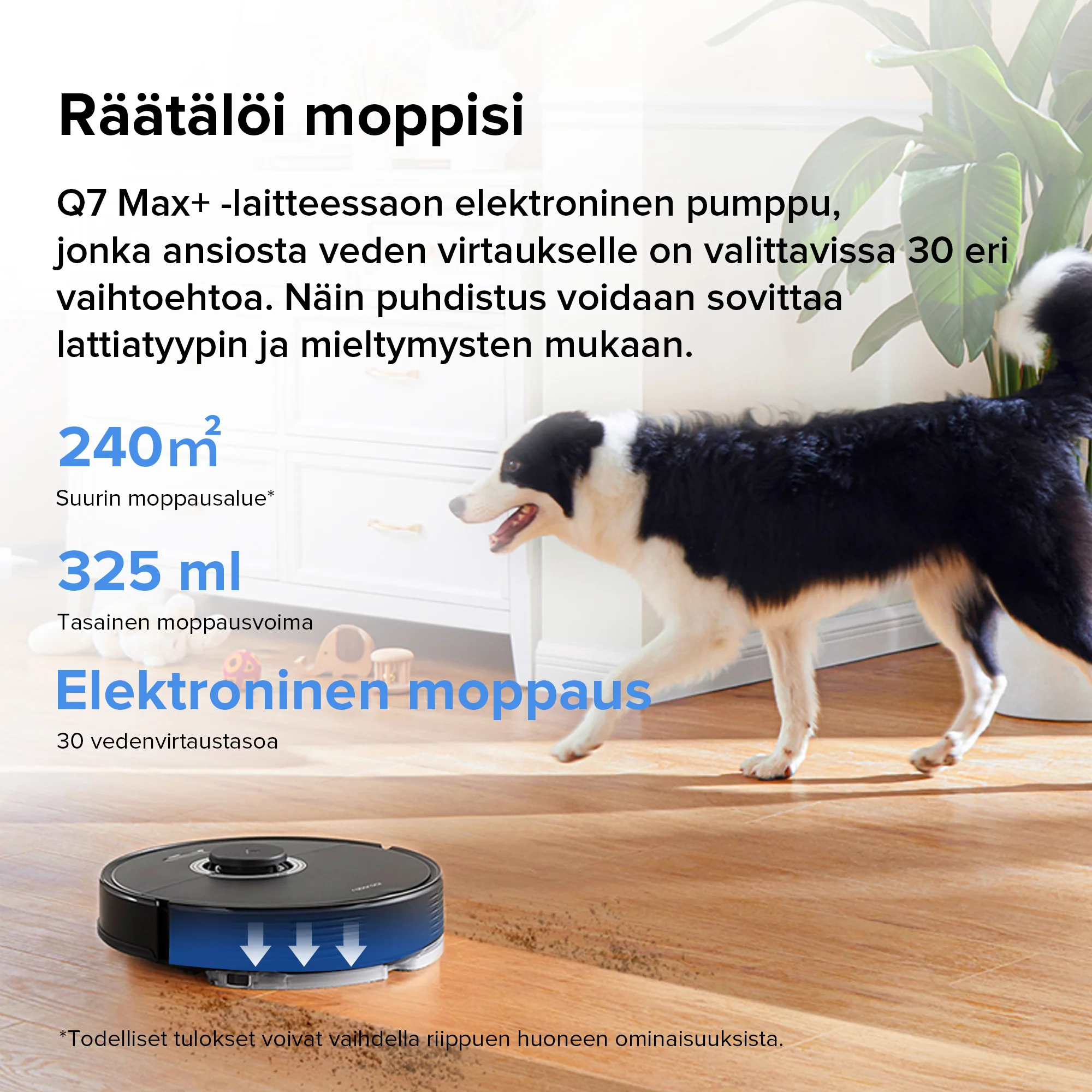 Tuotekuva 16