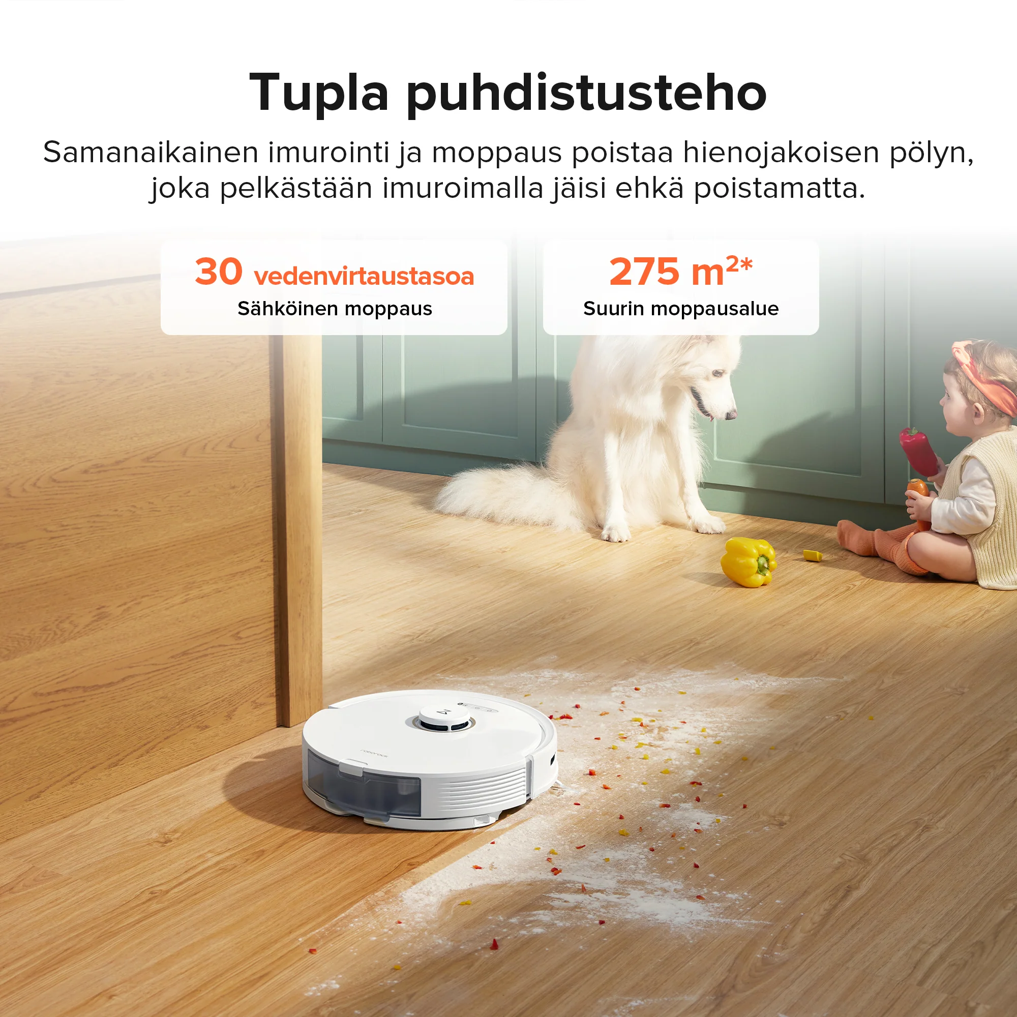 Tuotekuva 13