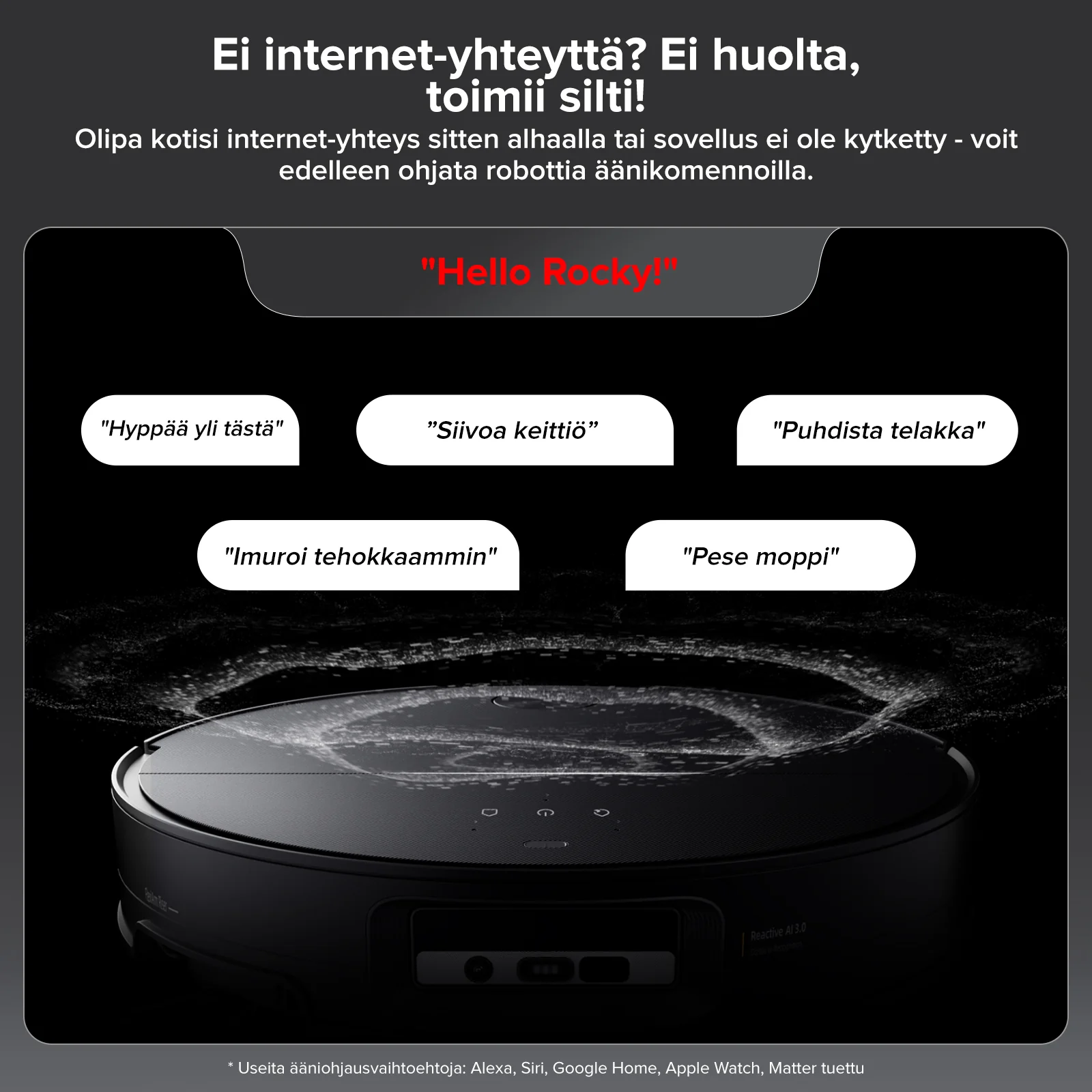 Tuotekuva 8